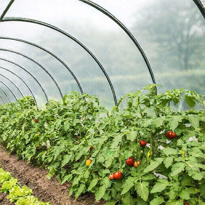 TECPLAST Bâche Serre 3x9 m 150SE - Film plastique transparent pour serre de jardin - Haute Qualité - Made in France(1)