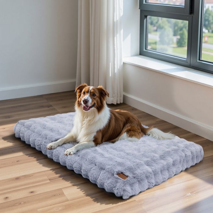 Panier pour Chien 2XL- BingoPaw - 120x90x12cm Coussin Chien Dehoussable Imperméable, Housse Lavable, avec Fond Antidérapant - Bleu(GY/2XL)